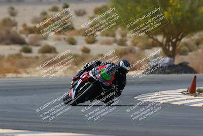 media/Apr-10-2022-SoCal Trackdays (Sun) [[f104b12566]]/Turn 5 Tree of Life (1040am)/